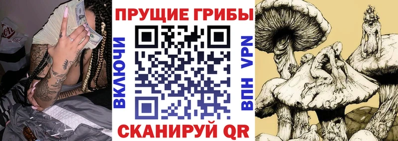Псилоцибиновые грибы GOLDEN TEACHER  Кандалакша 